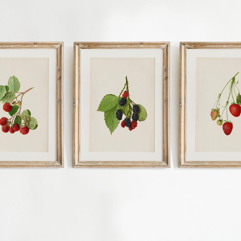 Raspberry Decor - Etsy