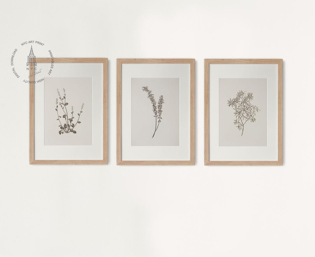 Set of 3 Vintage Botanical Prints, Vintage Neutral Botanical Prints ...
