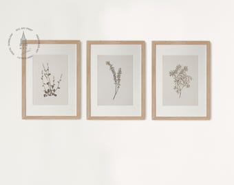 3er Set Vintage botanische Drucke, Vintage Neutrale botanische Drucke, antike botanische Drucke, rustikale botanische Wandkunst B302