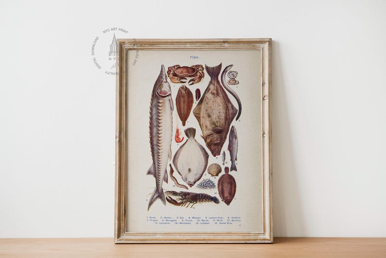 May include: A vintage illustration of various types of fish, including a sturgeon, halibut, and flounder. The illustration is in a wooden frame and has a white background.