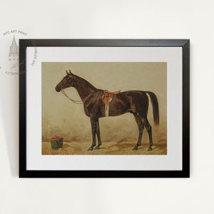 Black Horse In The Stable