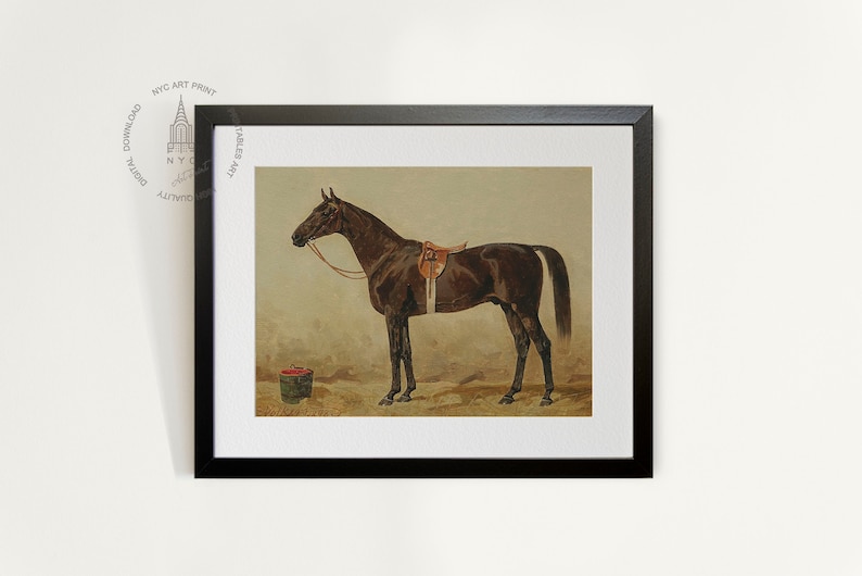 Black Horse In The Stable