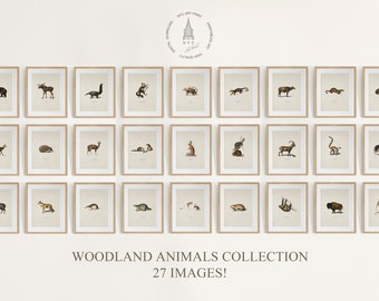 Woodland Animal Bundle, Gallery Wall Set of 27, Woodland Nursery Art Print, Vintage Animal Collection, Animal Wall Art, Forest Animal Prints