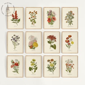 May include: A collection of twelve framed botanical prints, each displaying a detailed illustration of different flowers. The prints have a vintage style, with each frame in a light brown colour. The artwork is presented against a white backdrop.