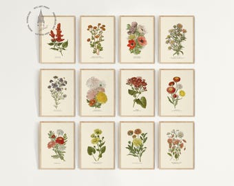 Set of 12 Vintage Autumn Flower Prints, Botanical Fall Wall Art, Rustic Fall Decor, Autumn Decor (Digital Download) AF02