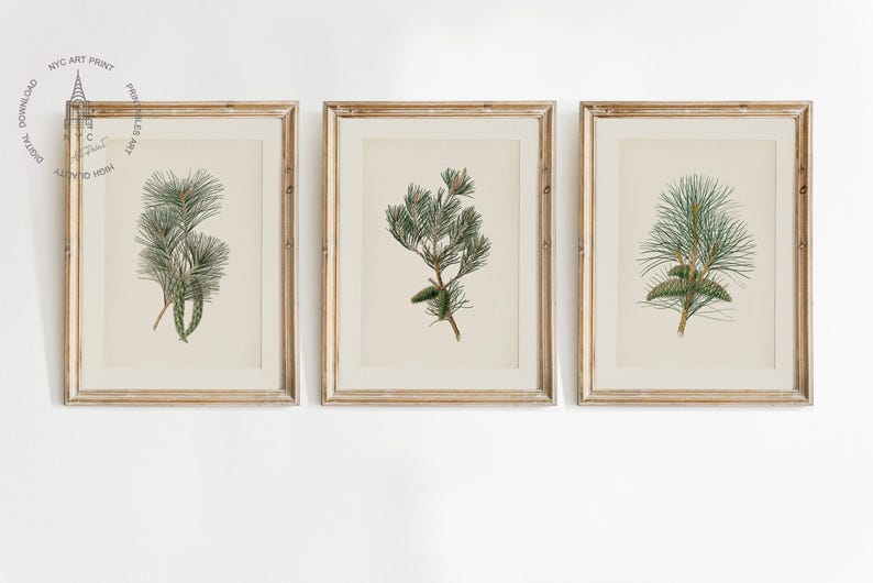 Antique Pine Cone Print | Holiday Botanical Wall Art | Winter Farmhouse Printable Art | Pine Branch Print | Country Christmas Wall Decor