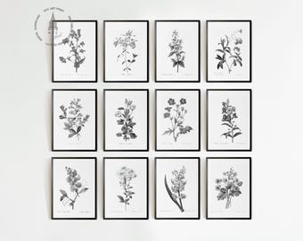 Set di 12 stampe botaniche vintage: stile fattoria francese (download digitale)