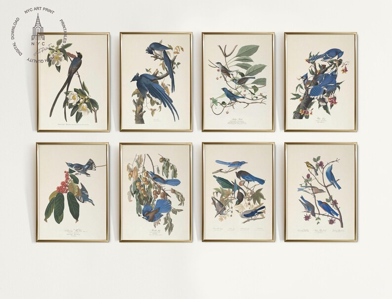 Audubon Birds of America Prints: Vintage Blue Bird Wall Art Set ...