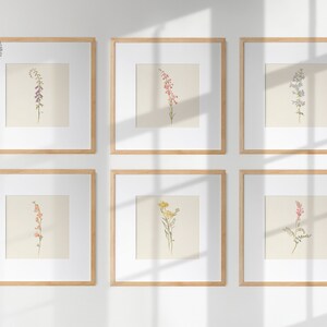 Vintage Botanical Prints Gallery Wall Set of 12, Floral Poster, Rustic ...
