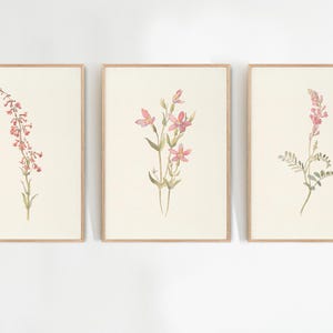 Vintage Botanical Prints Gallery Wall Set of 12, Floral Poster, Rustic ...