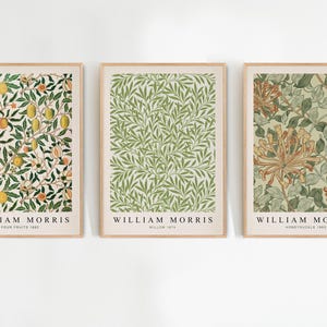 Op de afbeelding: Drie ingelijste prints van botanische illustraties van William Morris. De prints tonen een groen en wit bloemenpatroon, een geel en groen fruitpatroon en een bruin en groen bloemenpatroon. Elke print bevat de naam van de kunstenaar en de titel van het ontwerp.