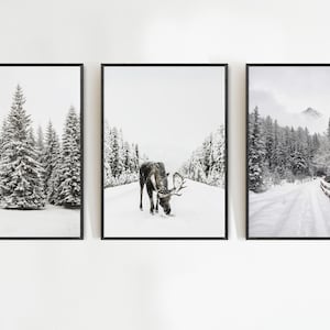 May include: Set of three framed black and white winter landscape prints. One print features a forest of snow-covered evergreen trees. Another shows a reindeer in a snowy path. The third print depicts a snow-covered road and mountain.