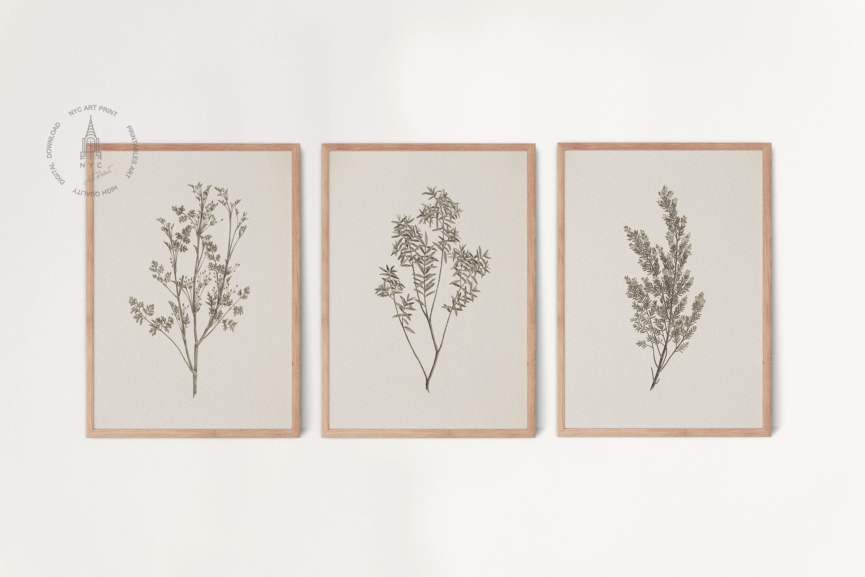 Set of 3 Vintage Botanical Prints, Neutral Gallery Wall Decor, Antique ...
