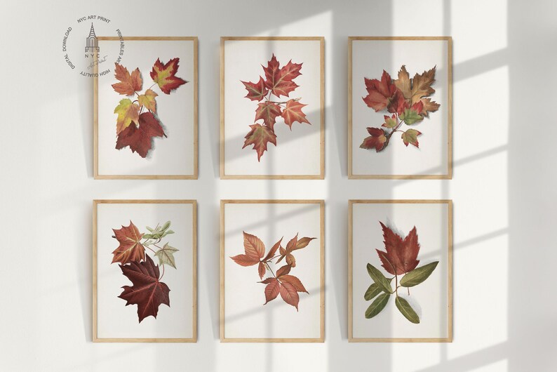 Set of 6 Vintage Fall Leaves Print, Autumn Printable Wall Art, Fall ...