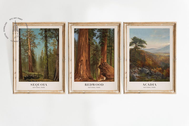 The Grizzly Giant Sequoia, Mariposa Grove, California (circa 1872-1873), Redwood Forest, acadia national park poster, Sequoia national park poster, Redwood national park poster