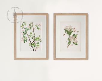 Set of 2 Vintage Spring Blossom Prints, Botanical Print, Floral Wall Art, Blossom Painting, Peach Blossom Print, Apple Blossoms and Bees Art