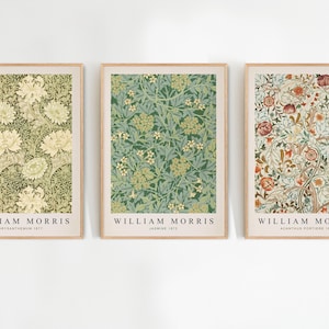 Op de afbeelding: Drie ingelijste prints van botanische illustraties van William Morris. De prints tonen een groen en wit bloemenpatroon, een groen en wit bladpatroon en een rood, groen en wit bloemenpatroon. Elke print bevat de naam van de kunstenaar, de titel van het ontwerp en het jaar van creatie.