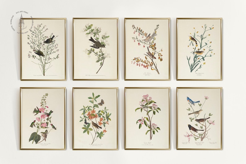 Op de afbeelding: Set van acht vintage botanische prints met verschillende vogels en bloemen. Elke print is ingelijst in goud en toont een gedetailleerde illustratie van een vogel die op een tak zit met bloemen en bladeren.