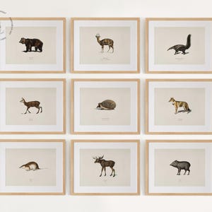 Woodland Animal Gallery Wall Set of 9, Woodland Nursery Art, Vintage Animal Painting, Animal Wall Art, Forest Animal Landscape Prints, WL01