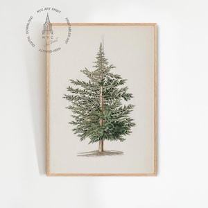 Vintage Christmas Tree Print, Cedar Tree Painting, Pine Tree Print, Christmas Printable Wall Art, Botanical Print, Christmas Decor
