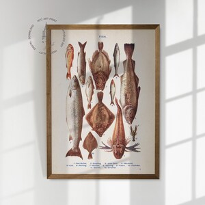 May include: A vintage illustration of various types of fish, including cod, halibut, and plaice. The illustration is in a brown frame and features the word "Fish" at the top.