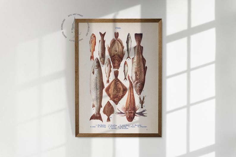 May include: A vintage illustration of various types of fish, including cod, halibut, and plaice. The illustration is in a brown frame and features the word "Fish" at the top.