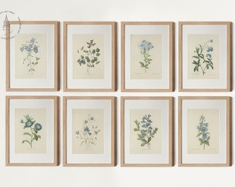 Vintage Blue Botanical Gallery wall Set of 8, Blue Flower Art, Blue Floral Prints, French Country Farmhouse Prints, Pierre Joseph Redoute