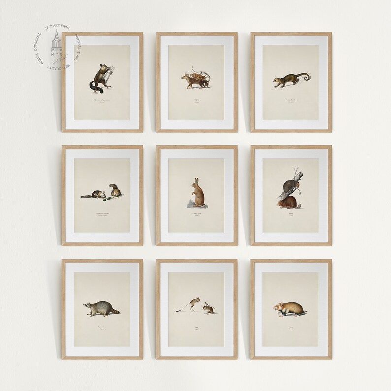Woodland Animal Bundle, Gallery Wall Set of 27, Woodland Nursery Art ...