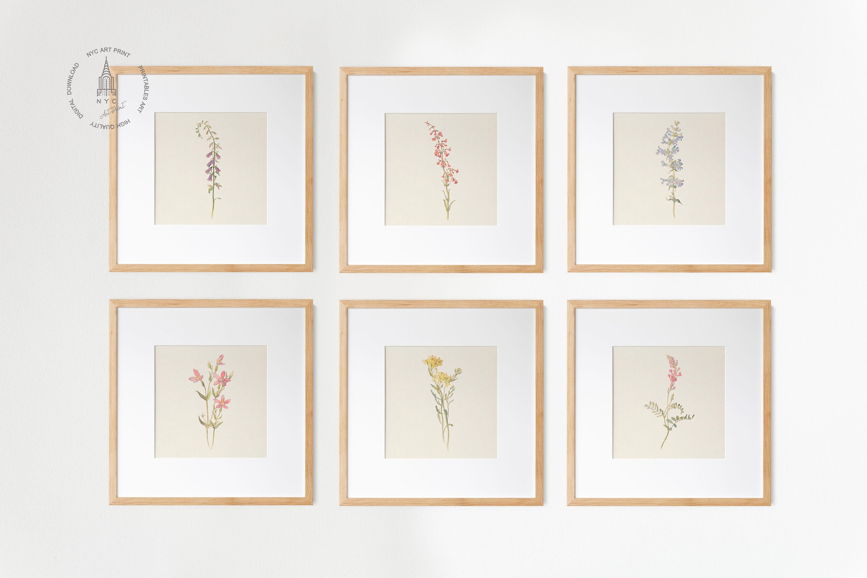 Botanical Prints Set of 6, Rustic Floral Gallery Wall Art (digital ...