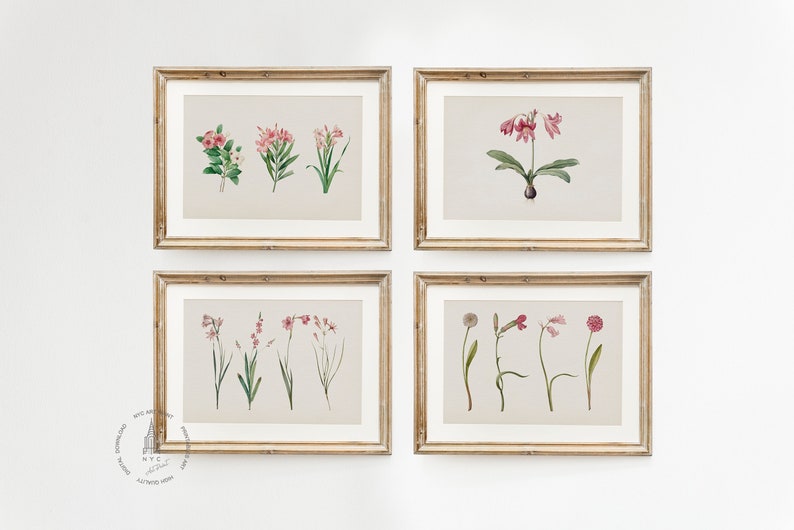 Vintage Home Decor. Botanical Wall Art Set by Sydney Parkinson