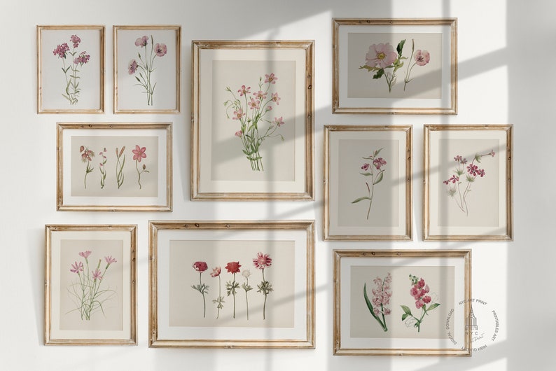 Vintage Botanical Prints Gallery Wall Set of 10, Pink Floral Poster ...