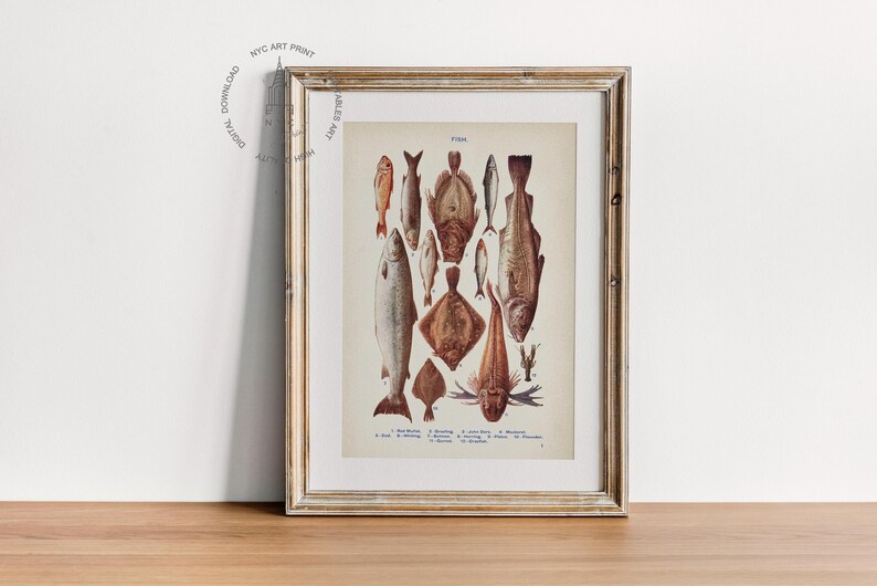 May include: A vintage illustration of various fish species, including cod, flounder, and halibut. The illustration is in a framed print with a light wood frame.