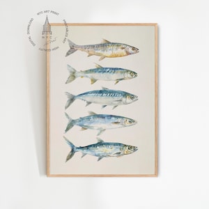 Sardines Print, Sardine Wall Art, Fish Wall Art, Sardine Poster, Seafood Print, Kitchen Decor, Kitchen Wall Art, Sardine Painting