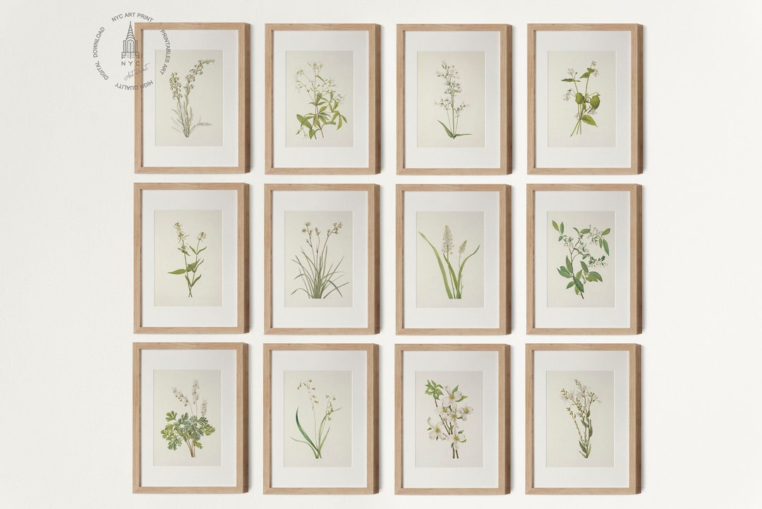 Vintage Botanical Prints Gallery Wall Set of 12, Vintage Neutral ...