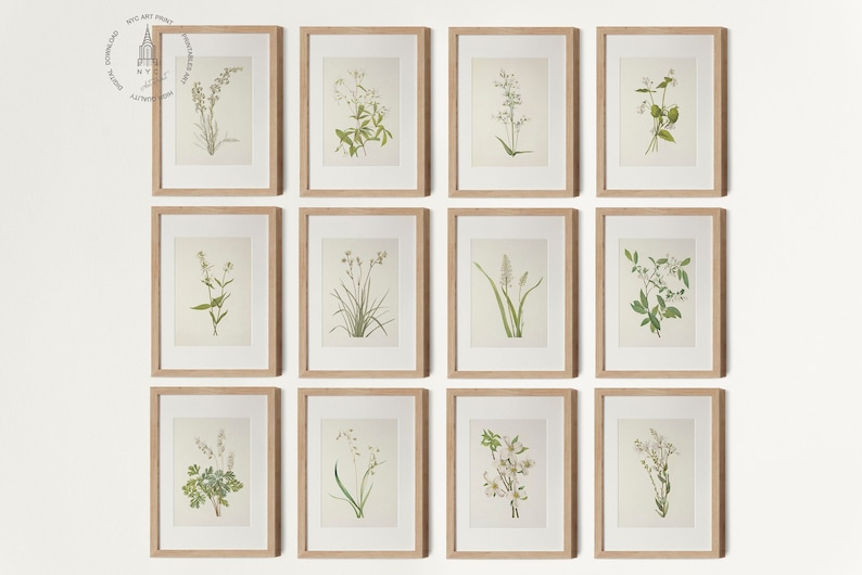 May include: Twelve framed botanical prints featuring detailed illustrations of various wildflowers and grasses. Each print is set in a light-colored wooden frame, creating a cohesive and elegant display. The artwork showcases a neutral color palette with green and white botanical elements.