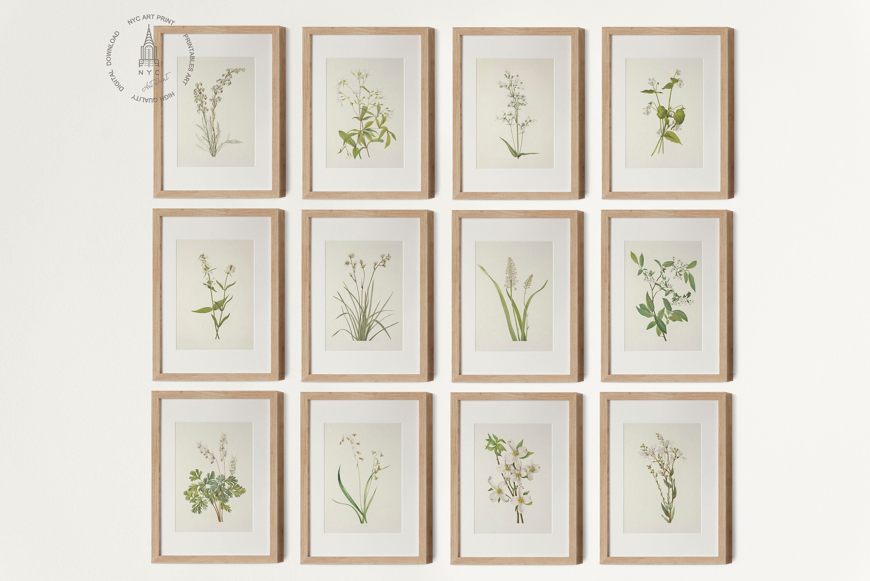 Vintage Botanical Prints Gallery Wall Set of 12, Vintage Neutral ...