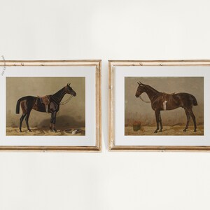 Puede incluir: Dos impresiones enmarcadas de caballos marrones en un entorno de establo. Los caballos se representan de perfil, uno con una silla de montar y una brida, el otro con una brida. Las impresiones se colocan contra una pared blanca.