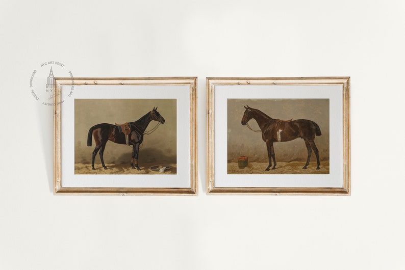 Puede incluir: Dos impresiones enmarcadas de caballos marrones en un entorno de establo. Los caballos se representan de perfil, uno con una silla de montar y una brida, el otro con una brida. Las impresiones se colocan contra una pared blanca.