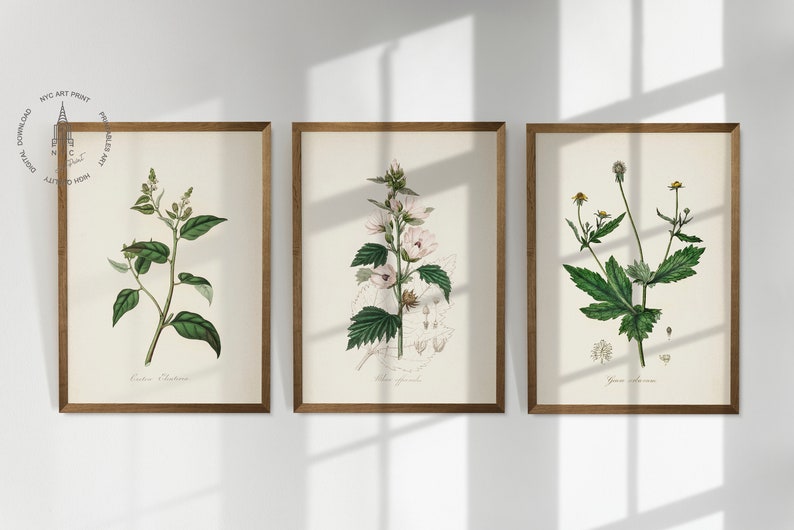 Vintage Kitchen Herbs Gallery Wall Set of 12, Botanical Prints, Herbs ...