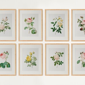 Op de afbeelding: Set van acht ingelijste botanische prints met verschillende soorten rozen in tinten roze, wit en geel. De prints zijn geplaatst tegen een witte achtergrond en zijn gerangschikt in een rasterpatroon.