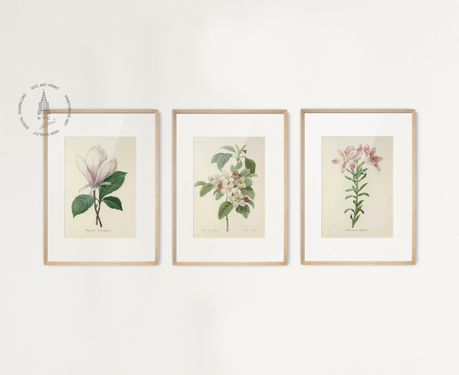 Vintage Spring Flowers Gallery Wall Set of 9, Spring Botanical Prints ...