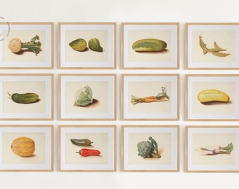 Vintage keukengalerij wandset van 12, groenteschilderij, vintage groenteprints, studie van groenten en fruit door Johanna Fosie