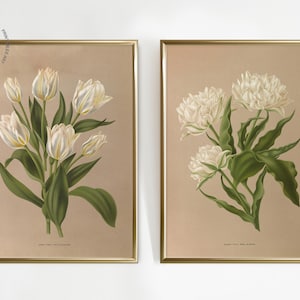 Puede incluir: Dos estampados bot&aacute;nicos enmarcados que presentan flores blancas con hojas verdes sobre un fondo beige. Las impresiones est&aacute;n en marcos dorados.