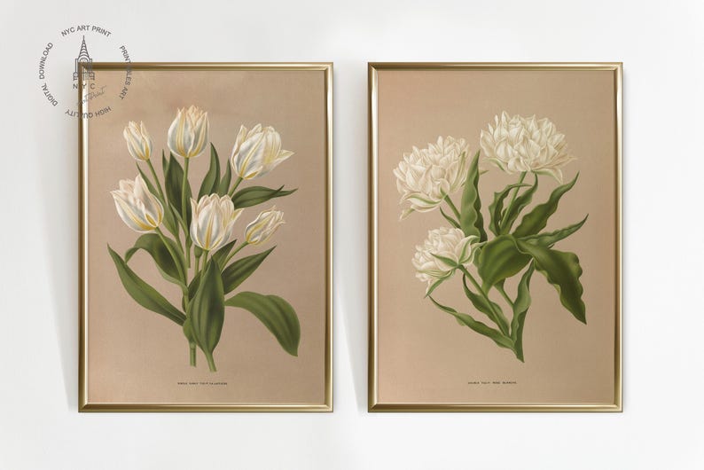 Puede incluir: Dos estampados bot&aacute;nicos enmarcados que presentan flores blancas con hojas verdes sobre un fondo beige. Las impresiones est&aacute;n en marcos dorados.