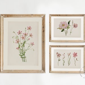 Vintage Botanical Prints Gallery Wall Set of 10, Pink Floral Poster ...