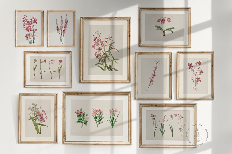 Vintage Botanical Prints Gallery Wall Set of 10, Pink Floral Poster ...