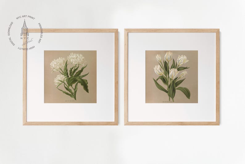 Puede incluir: Dos estampados bot&aacute;nicos enmarcados con flores blancas. La impresi&oacute;n de la izquierda muestra un grupo de flores blancas con hojas verdes. La impresi&oacute;n de la derecha muestra un ramo de tulipanes blancos con hojas verdes.