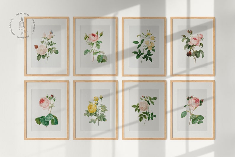 Op de afbeelding: Set van acht botanische prints met verschillende soorten rozen in tinten roze, wit en geel. De prints zijn ingelijst in natuurlijk hout en in een rasterpatroon op een witte muur gerangschikt.