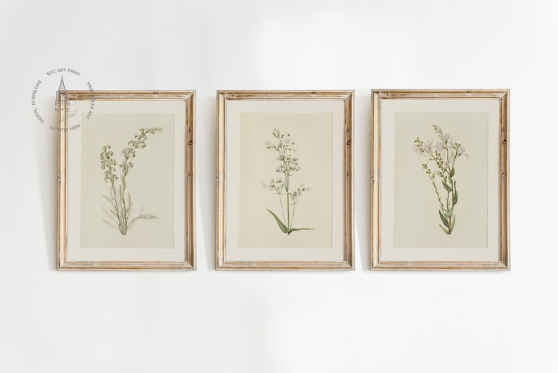 May include: Three framed botanical prints featuring delicate floral illustrations in muted tones. Each print is encased in a gold-colored frame, creating a vintage aesthetic. The artwork showcases detailed depictions of various plant species.