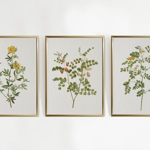 Vintage Botanical Prints Gallery Wall Set of 8, Floral Poster ...